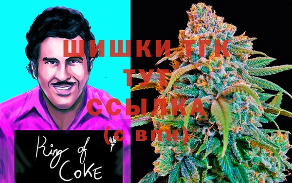 ГАЛЛЮЦИНОГЕННЫЕ ГРИБЫ Навашино